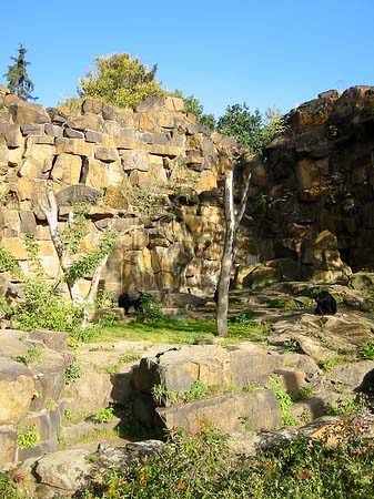 Tierpark - Berlin (Berlin)