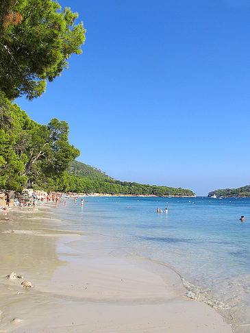 Der Strand von Formentor - Mallorca (Port de Pollensa)