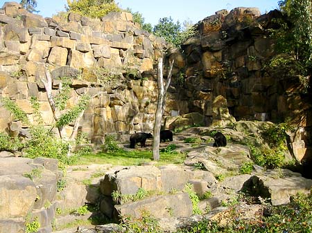 Tierpark - Berlin (Berlin)