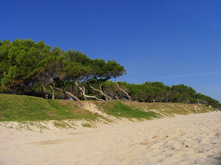 Am Strand entlang - Mallorca