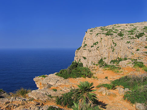 Blick auf das Meer - Mallorca