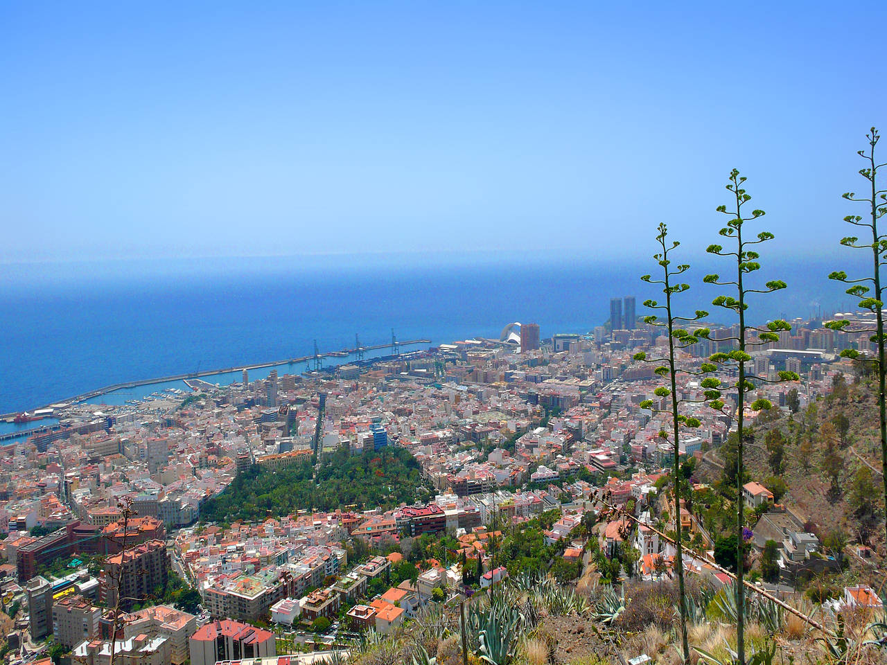 Fotos Santa Cruz de Tenerife | 