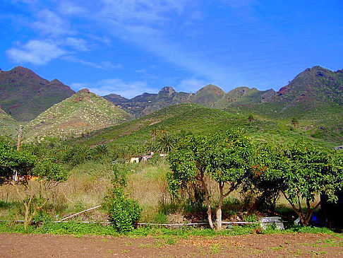 Fotos Kurzinfo Teneriffa | 