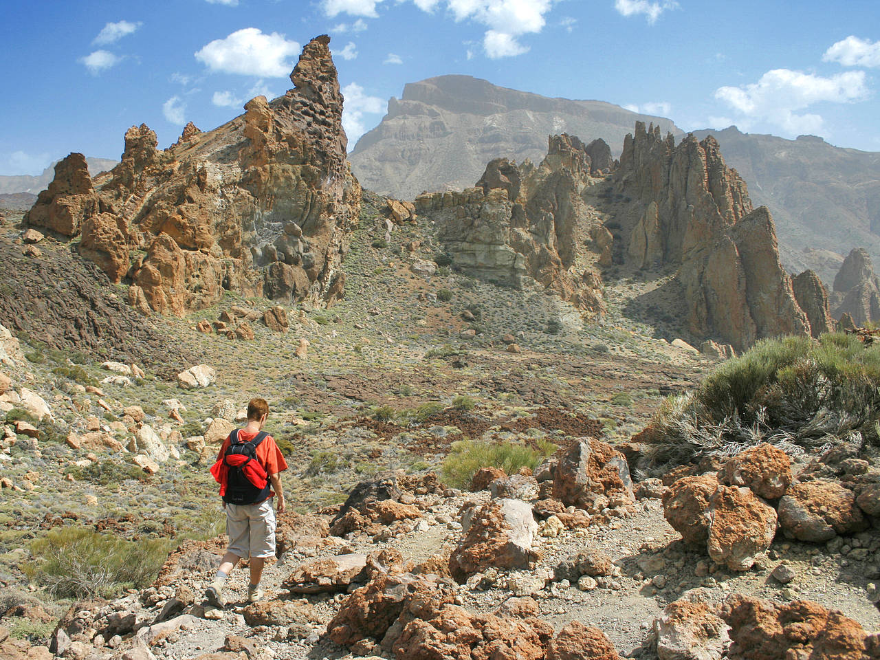 Fotos Teide-Nationalpark