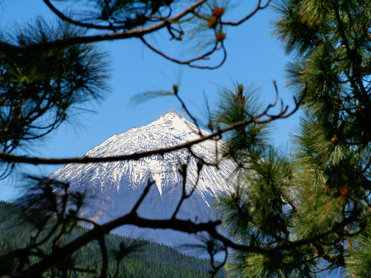 Foto Wetter / Klima Teneriffa